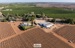 178 Arumpo Road, Mourquong, NSW 2739