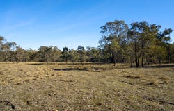Lot 192 & 253 Yewrangara Street, Bigga, NSW 2583