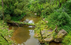 18 Ryans Road, Bonalbo, NSW 2469