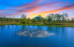 2620 Rosewood-Warrill View Road, Coleyville, Qld 4307