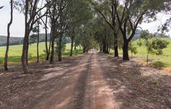 80 Dicksons Road, Indigo Valley, Vic 3688