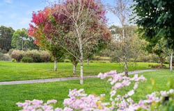 41/8 Wiseman Road, Bowral, NSW 2576