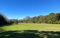Tamborine Mountain, Qld 4272