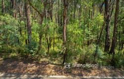 2780 Gembrook-Launching Place Road, Gembrook, Vic 3783