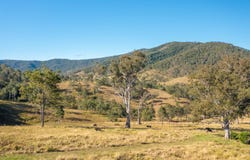 125 Jasper Creek Road, Mount Seaview, NSW 2446