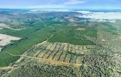 3653 Arkstone Road, Burraga, NSW 2795