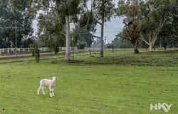 18 Meadowbrook Ramble, Bullsbrook, WA 6084