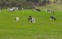 109 Andersons Road, Yarragon, Vic 3823