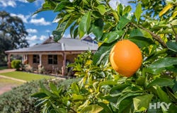 75 Hart Drive, Chittering, WA 6084