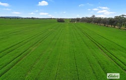58 Gready Road, Wal Wal, Vic 3385