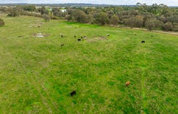 632 Mundijong Road, Mardella, WA 6125
