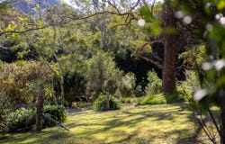 1388 Bulga Road, Marlee, NSW 2429