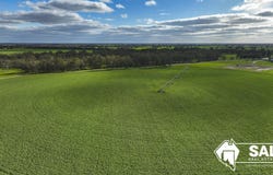 200 Pooginagoric Road, Bordertown, SA 5268