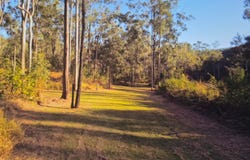 139 Doughboy Road, Doughboy, Qld 4671