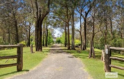 114 Priests Ridge Road Road, Cedar Brush Creek, NSW 2259