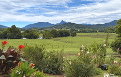 423 Numinbah Road, Nobbys Creek, NSW 2484