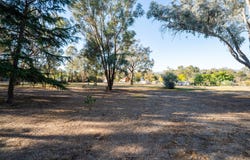 Jessie Street, Gerogery, NSW 2642