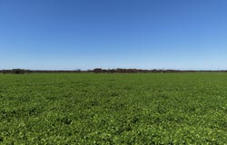 Sec 102 & 103 Kainton Road, Kainton, SA 5552