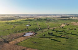 38 Tallawonga Road, Elong Elong, NSW 2831