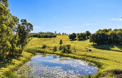 250 Upper Stratheden Road, Stratheden, NSW 2470