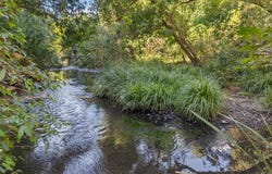 Lot 135, 1995 Mary Valley Road, Kandanga, Qld 4570