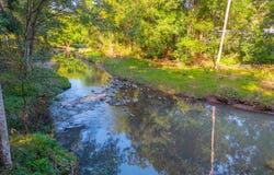 392 Diamond Valley Road, Mooloolah Valley, Qld 4553