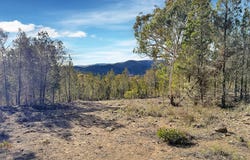 587 Mittagang Road, Binjura, NSW 2630