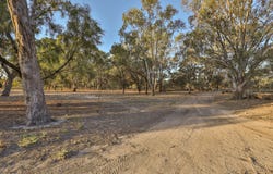 2921 Silver City Highway, Wentworth, NSW 2648