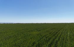 'Forbes's' Wilmington Road, Hammond, SA 5431