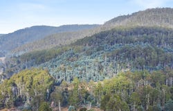 Lot 1 Echo Valley Road, Liena, Tas 7304