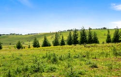 373 Sallys Corner Road, Exeter, NSW 2579