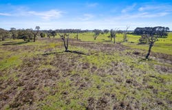 7590 Princes Highway, Mumbannar, Vic 3304