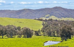 61 Guymers Road, Homewood, Vic 3717