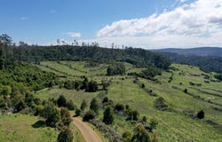 8415 Lyell Highway, Ouse, Tas 7140