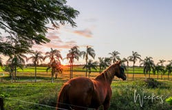 79 Zielke Avenue, Kalkie, Qld 4670