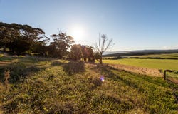22 Port Davies Road, Emita, Tas 7255