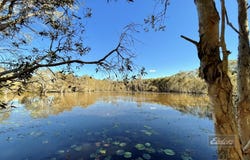 199 Forestry Road, Bauple, Qld 4650