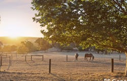 755 Allen Street, Wooroloo, WA 6558