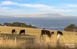 225 Gap Road, Ventnor, Vic 3922