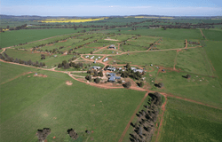 Upside Farm, 104 Flowerdale Road, Wagga Wagga, NSW 2650