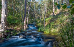 90-94 Bambling Road, Boyland, Qld 4275