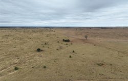 "Nine Mile West", Olivevale Road, Comet, Qld 4702