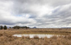 162 Mount View Road, Kandos, NSW 2848