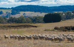 658 Duckmaloi Road, Oberon, NSW 2787