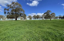 A21 Sunnydale Road, Strathalbyn, SA 5255