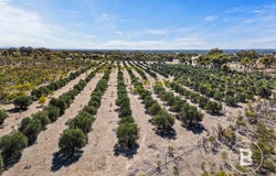 3320 Ararat - St Arnaud Road, Navarre, Vic 3384