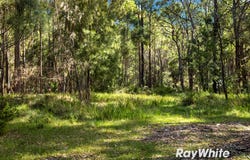 Bergalia, NSW 2537