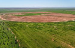 'Willochra' Willochra Road, Wilmington, SA 5485