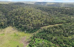 Lot 12 Busbys Flat Road, Busbys Flat, NSW 2469