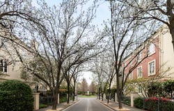 24/8 Wellington Crescent, East Melbourne, Vic 3002